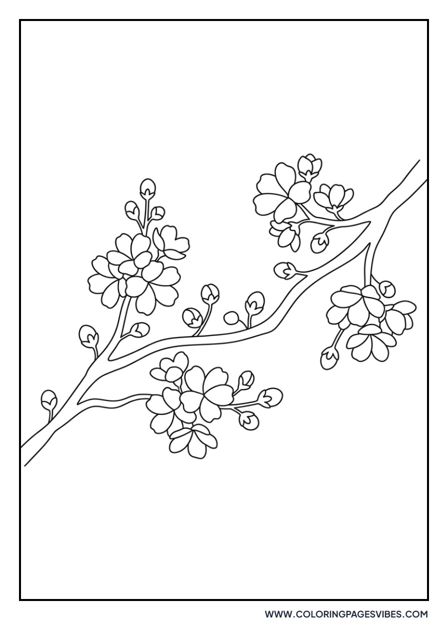 Cherry Blossom Branch