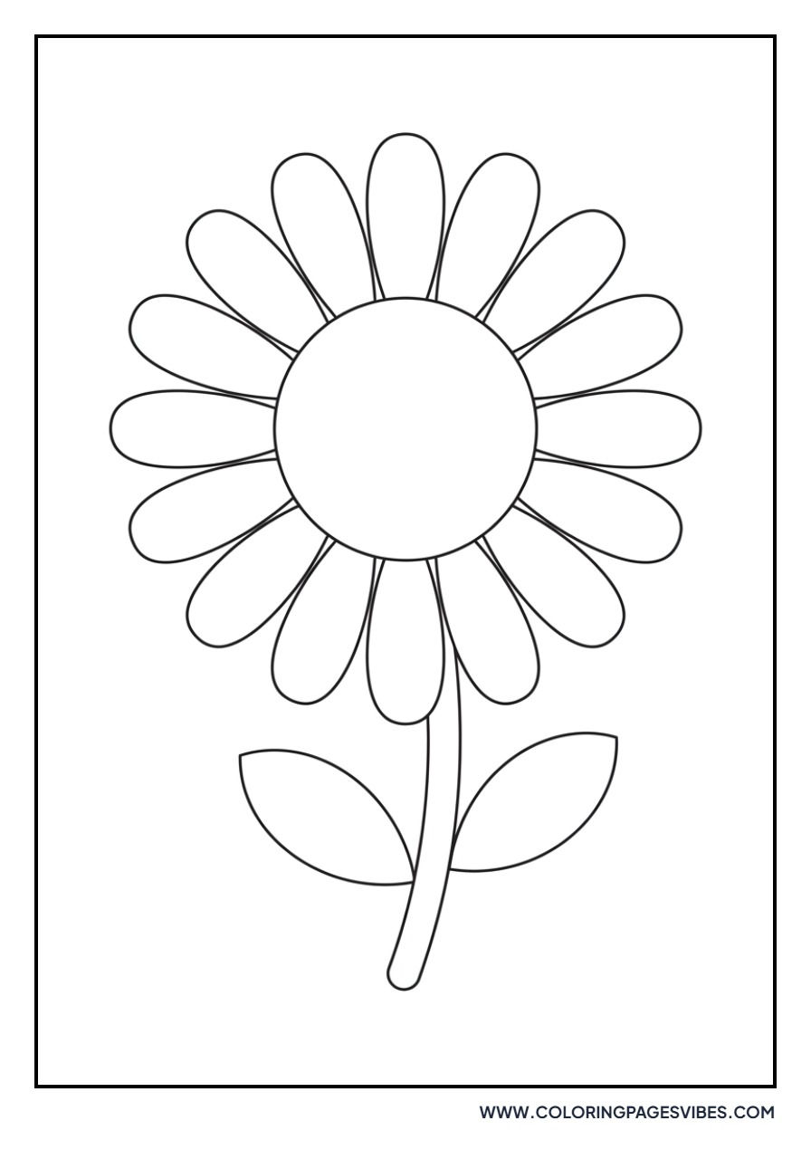 Classic Garden Daisy