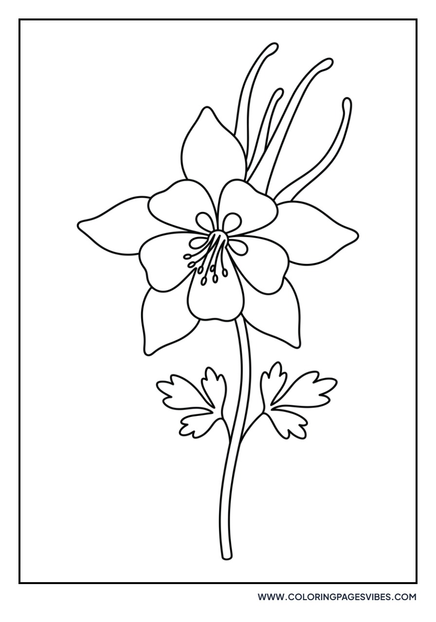 Columbine Fairy Flower
