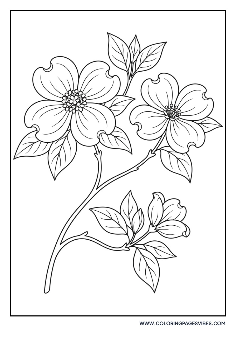 Dogwood Tree Flowers
