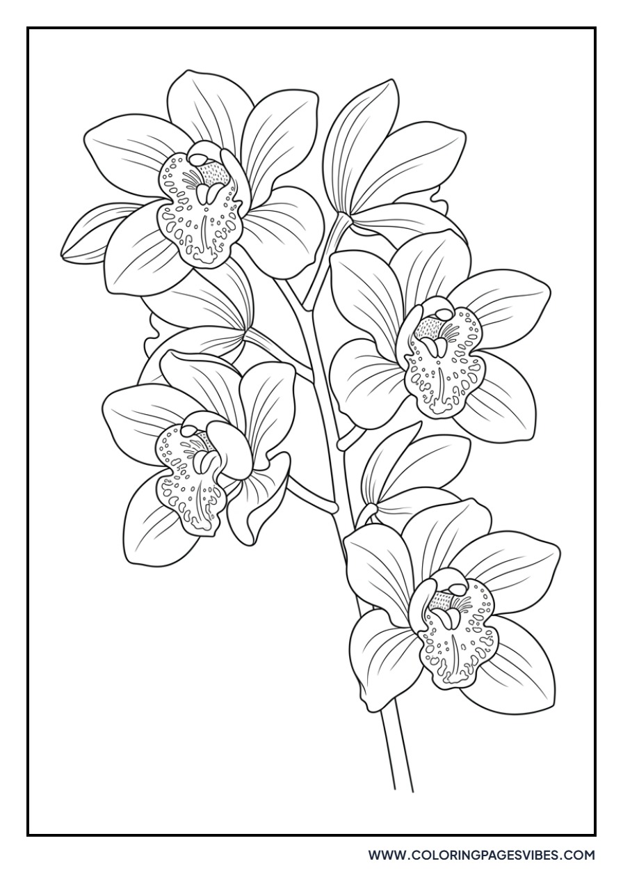 Exotic Spring Orchid