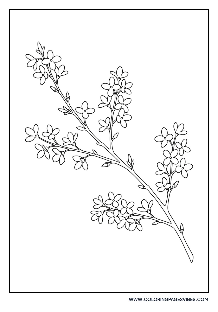 Golden Forsythia Branch