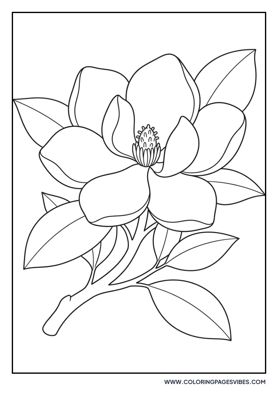 Grand Magnolia Bloom