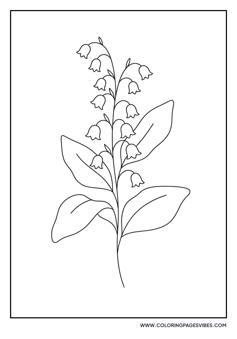 Lily of the Valley