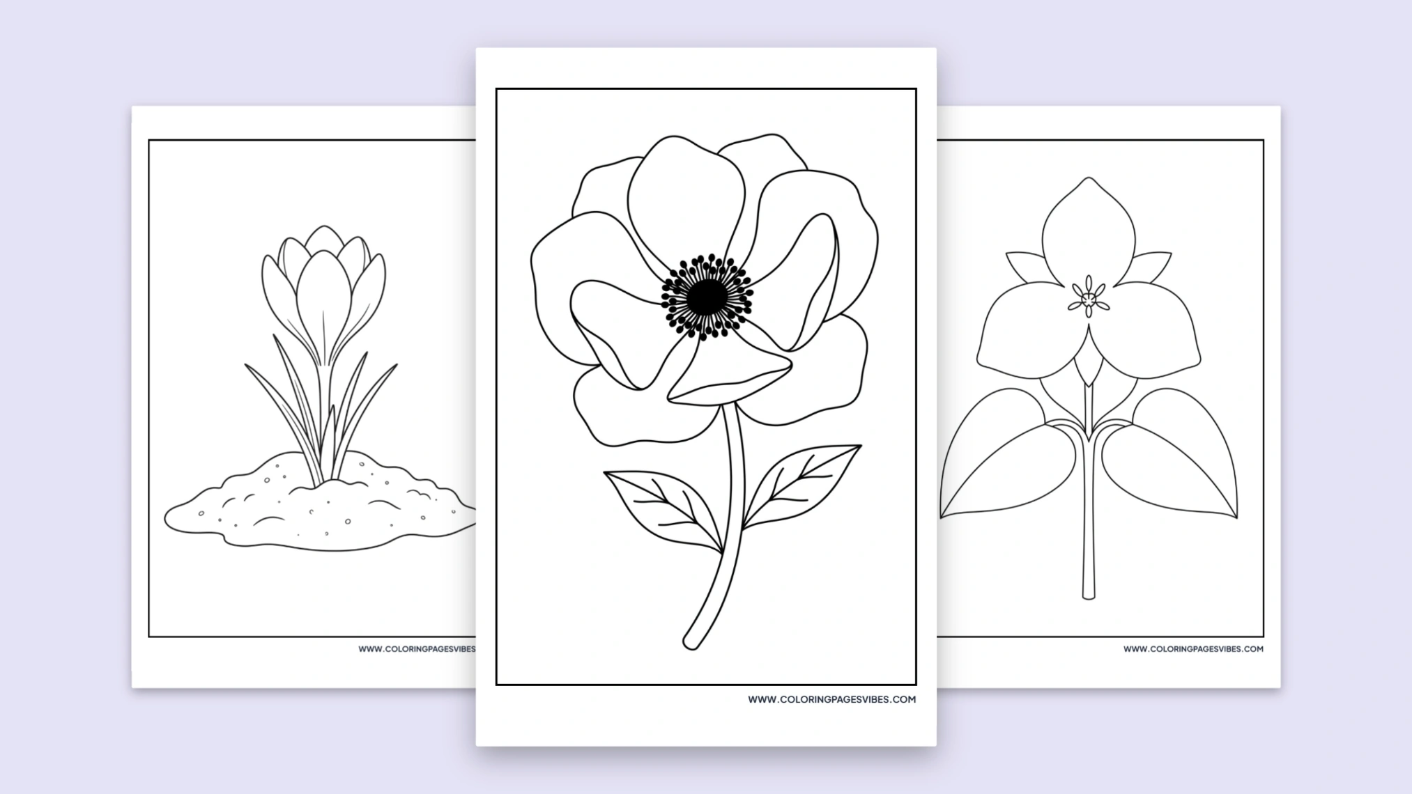 45 Free Printable Spring Flower Coloring Pages (PDF)