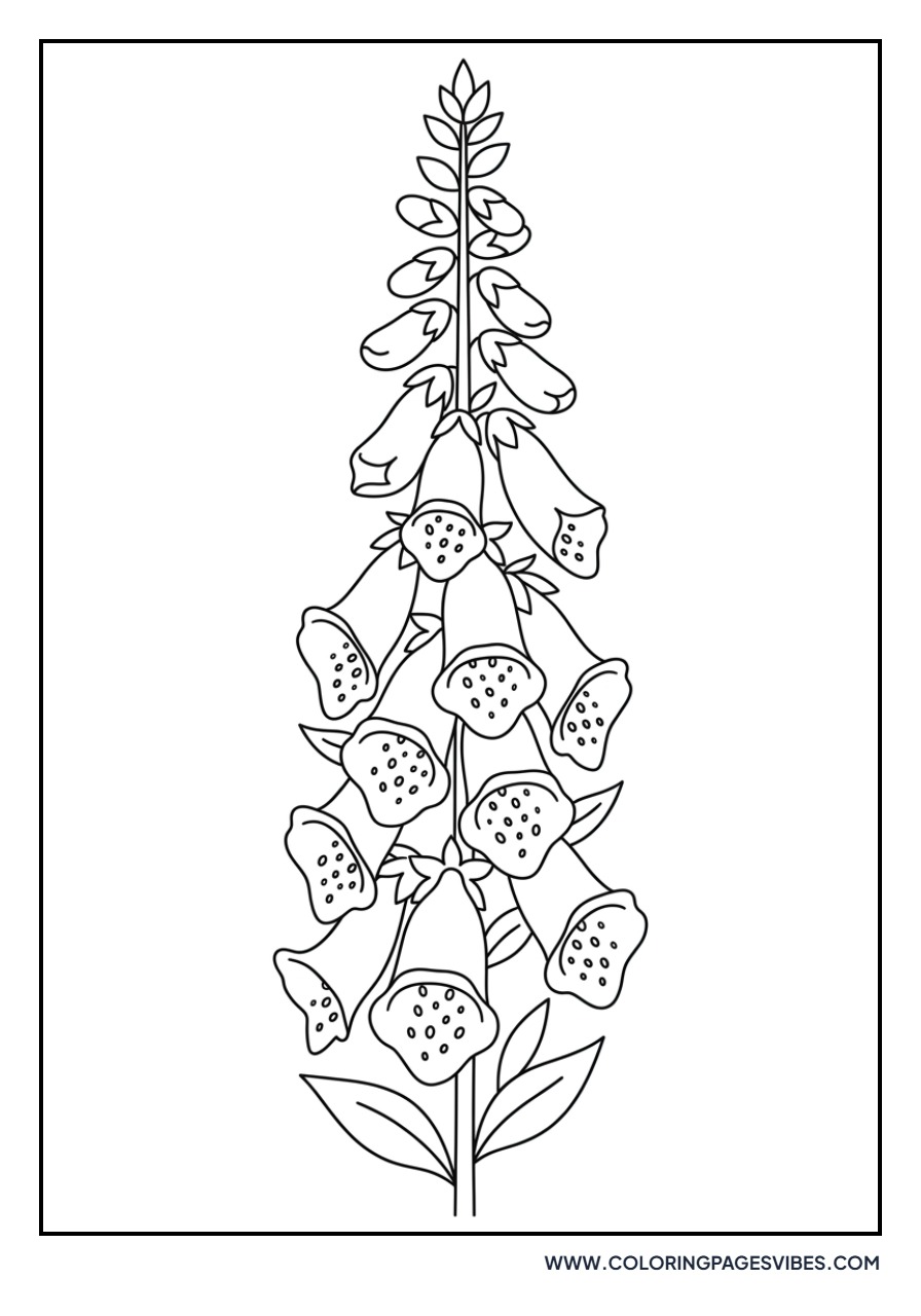 Tall Foxglove Spire