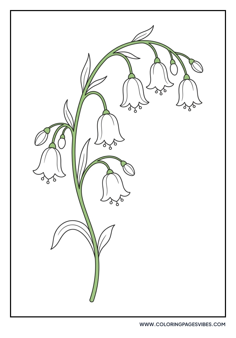 Wild Bluebell Woods