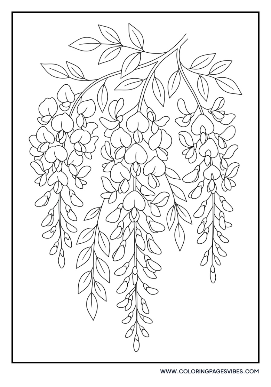 Wisteria Flower Grapes
