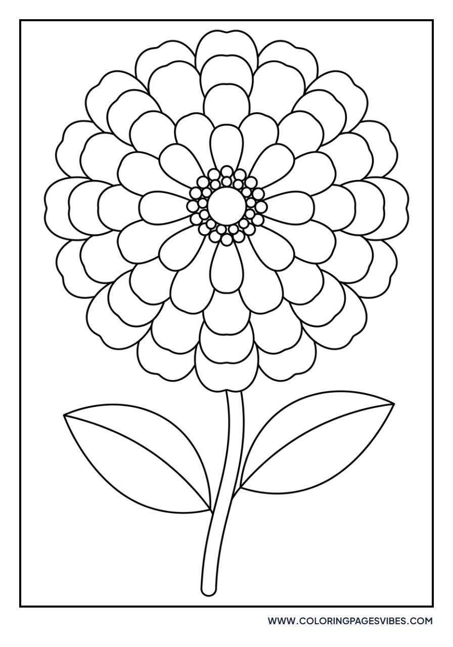 Zinnia Garden Flower