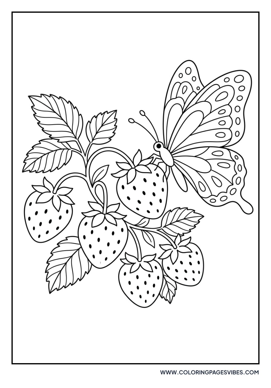 Butterfly on Strawberry