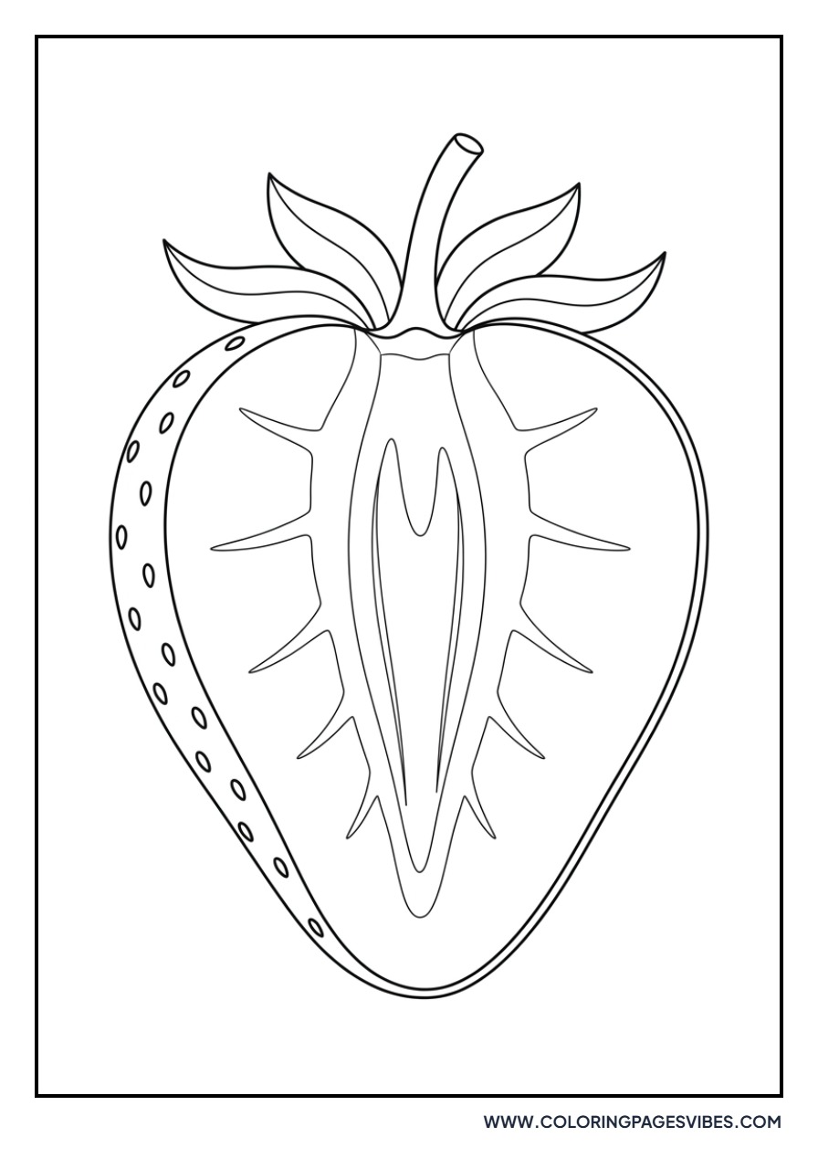 Cross-Section of Strawberry