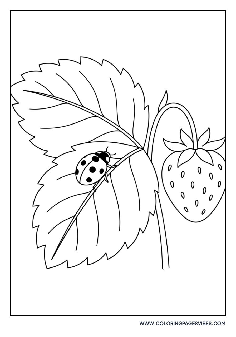 Ladybug on Strawberry Leaf