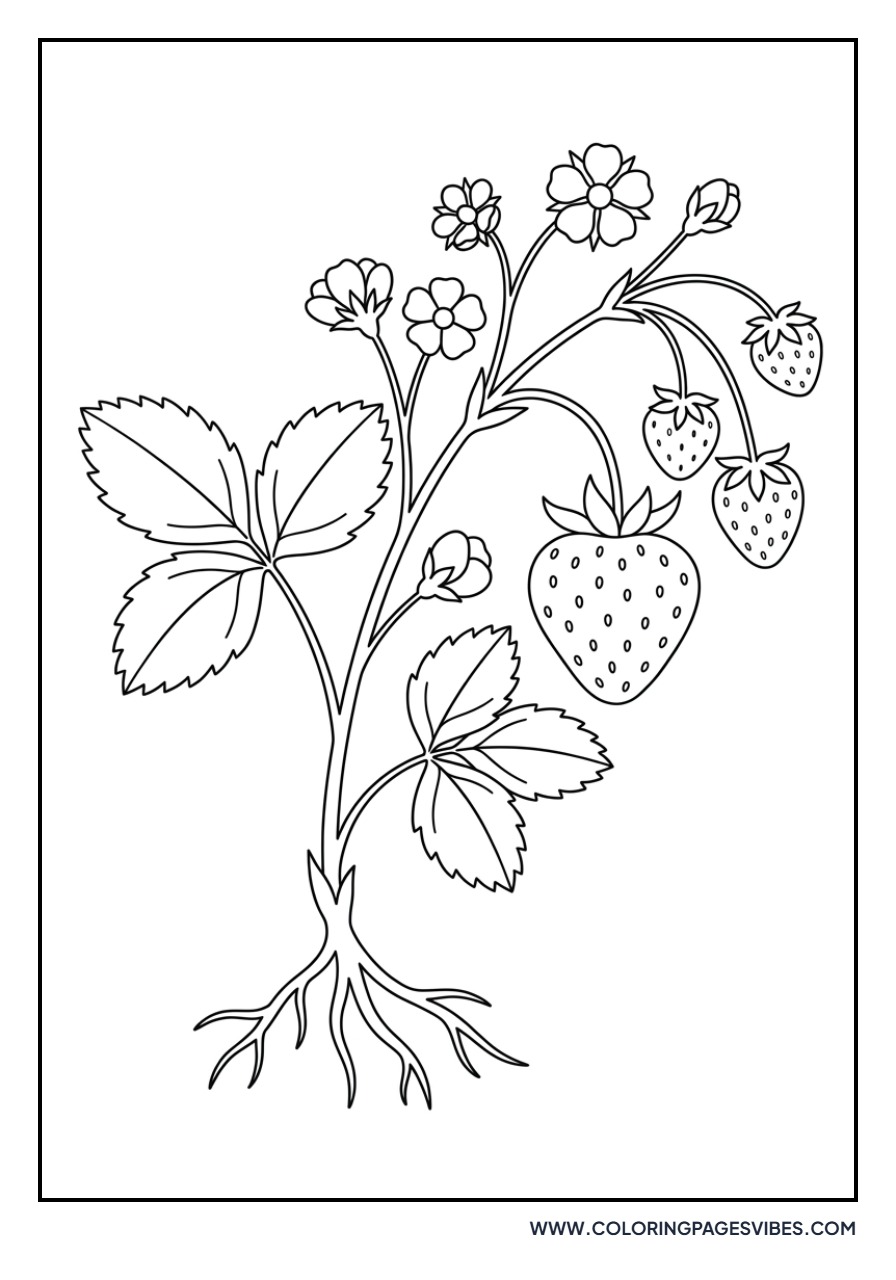 Realistic Strawberry Branch