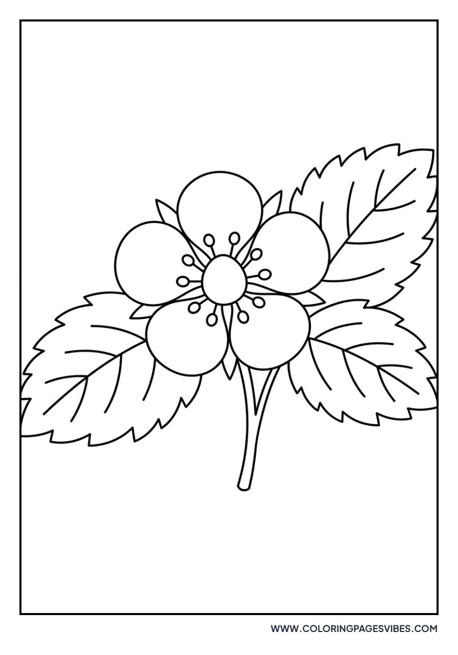 Strawberry Blossom Flower