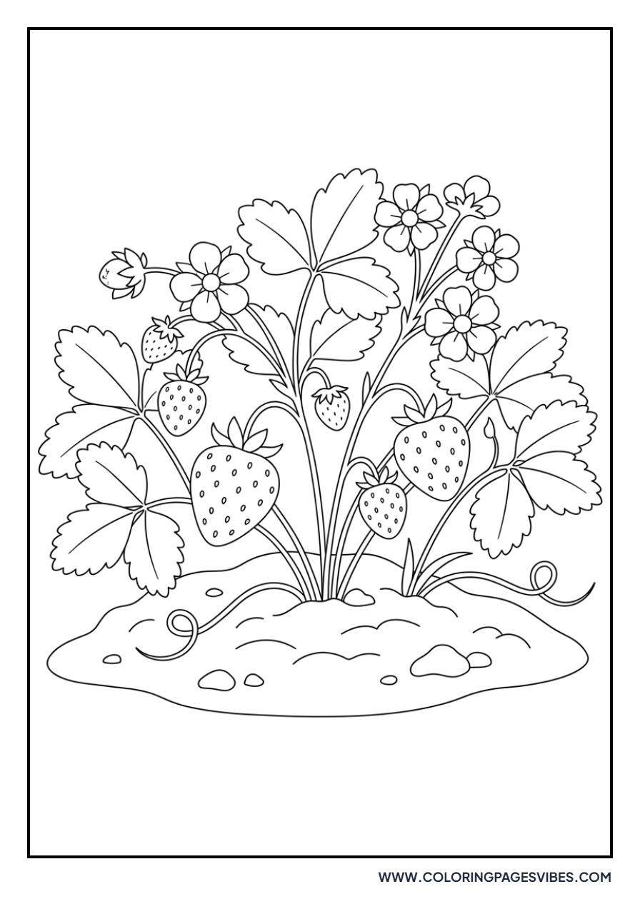 Strawberry Garden Patch