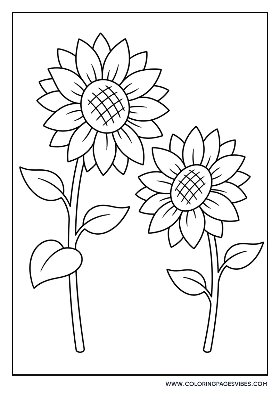 Duo of Sunflowers