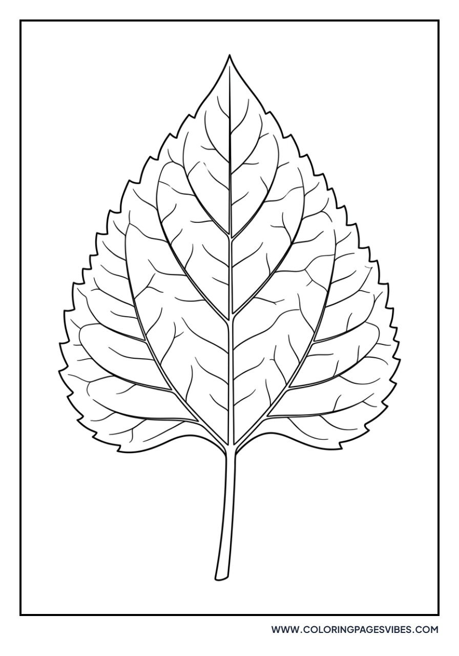 Giant Sunflower Leaf