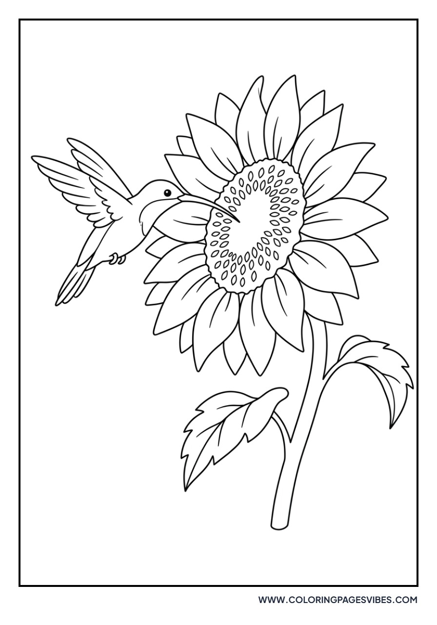 Hummingbird and Sunflower