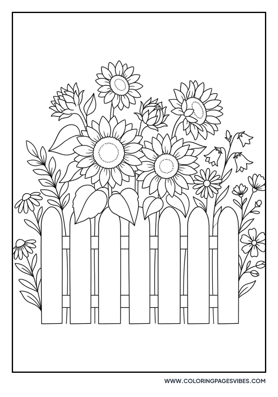 Sunflower and Picket Fence