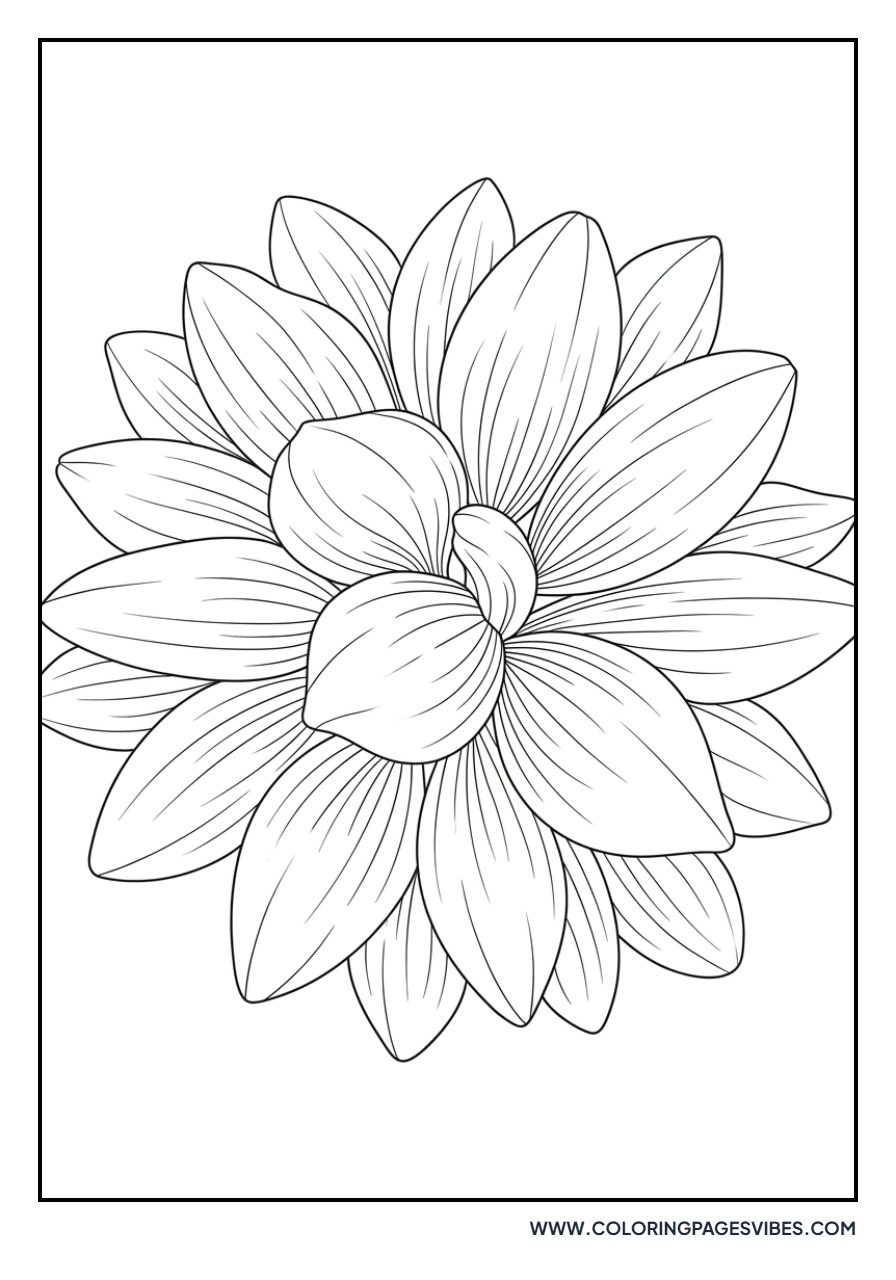 Sunflower Petal Close-up