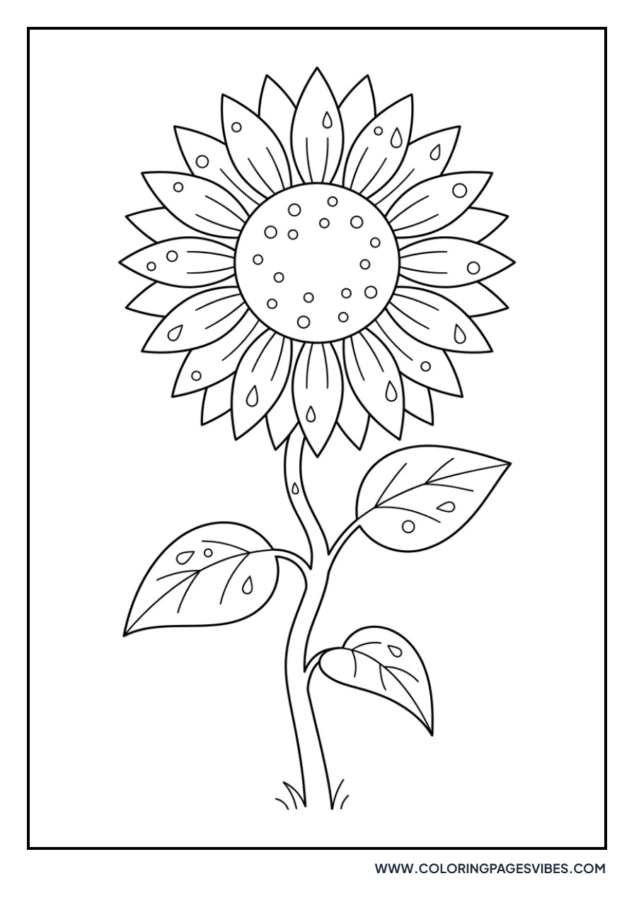Sunflower with Raindrops