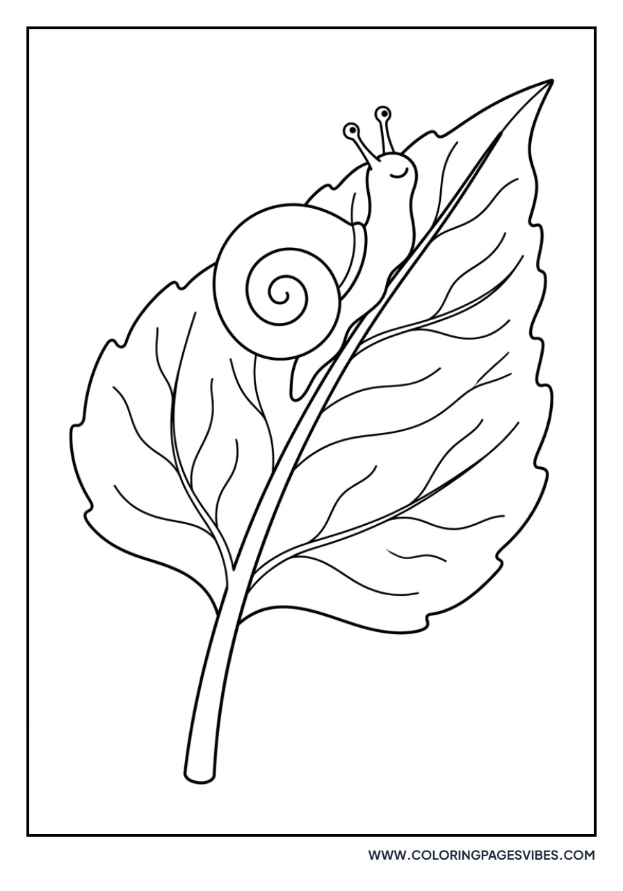 Sunflower with Snail
