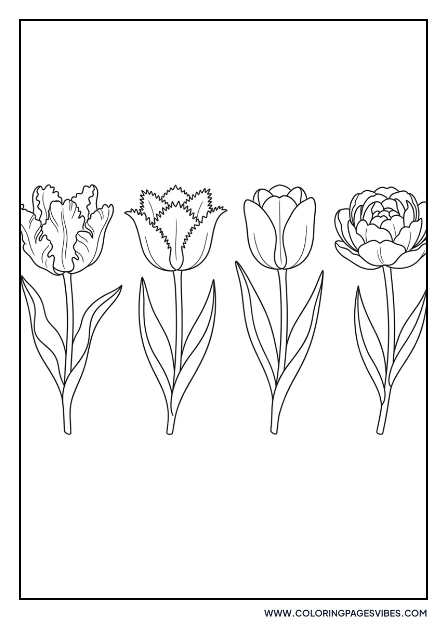 Assorted Variety Tulips