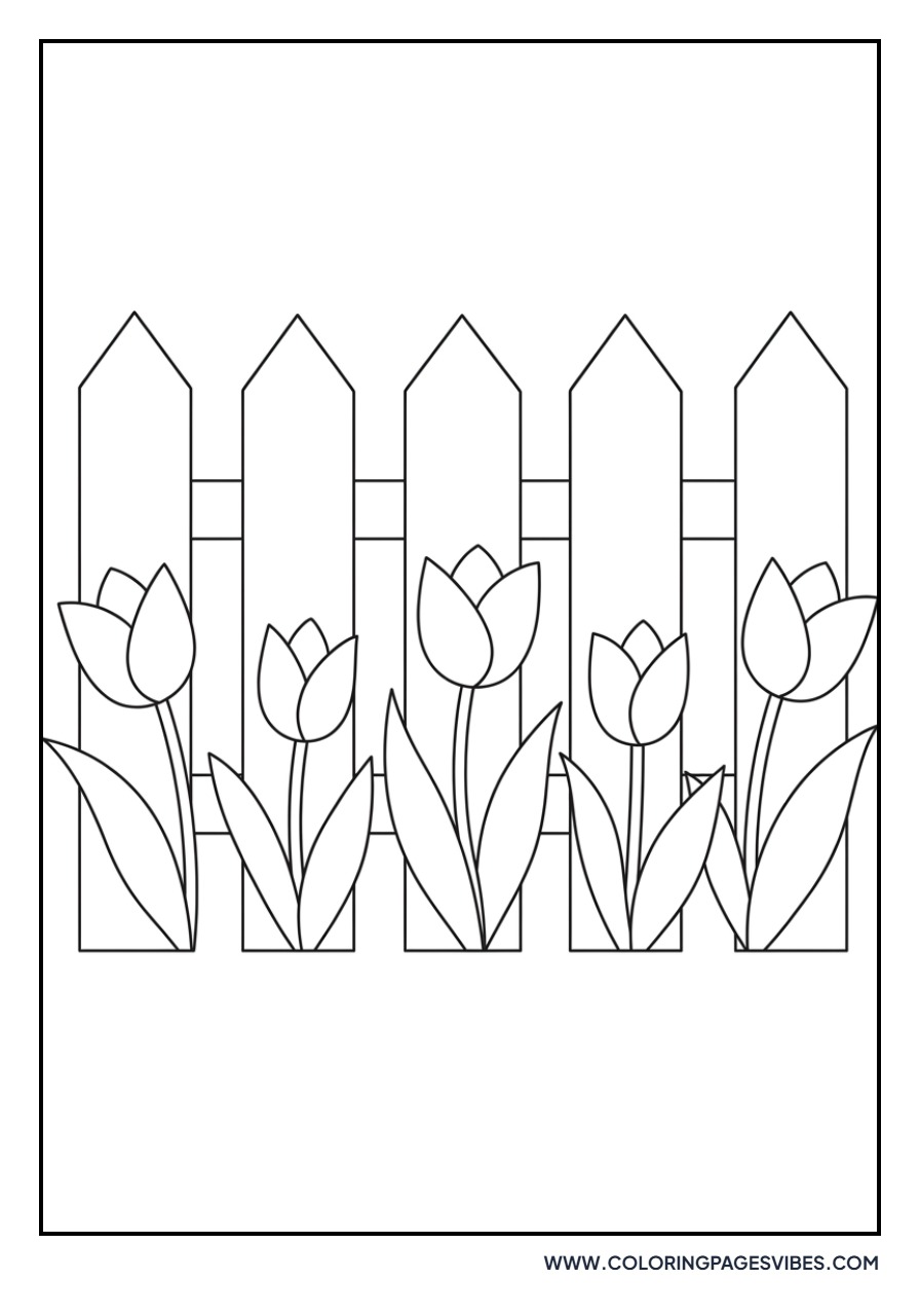 Garden Fence and Tulips