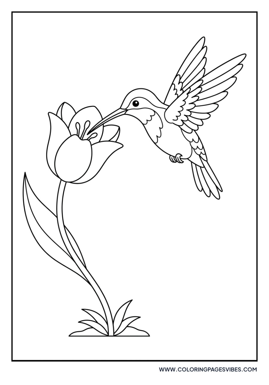 Hummingbird and Tulip