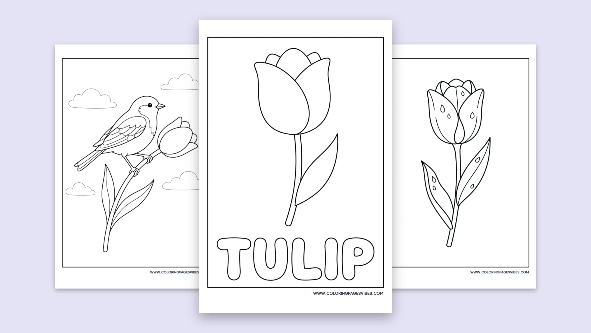 50+ Free Printable Tulip Coloring Pages (PDF Download)