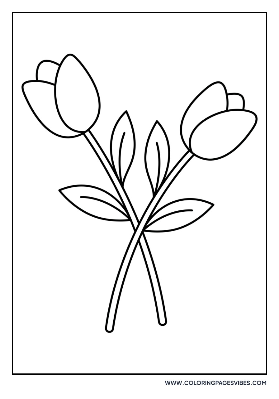 Pair of Tulips