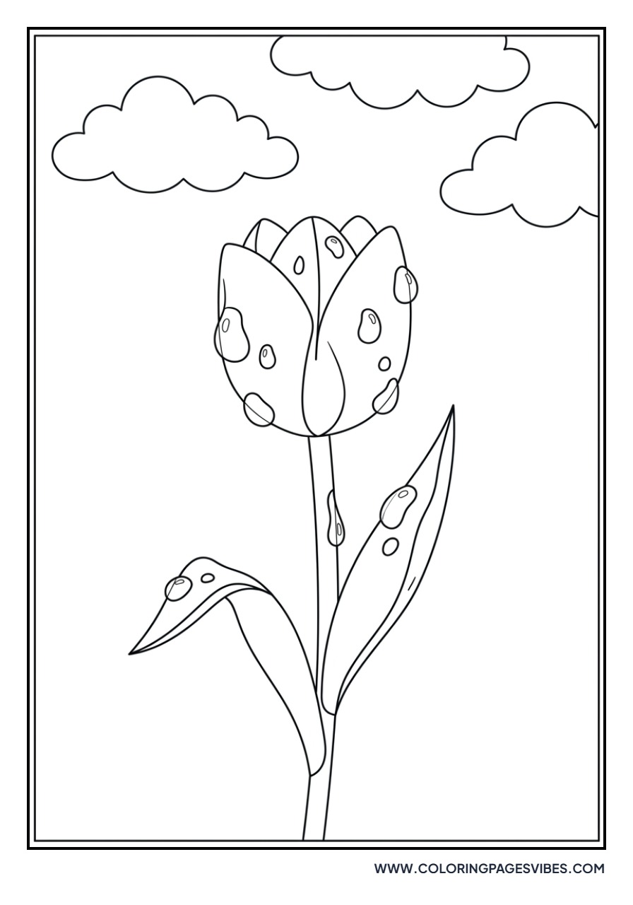 Rainy Day Tulip