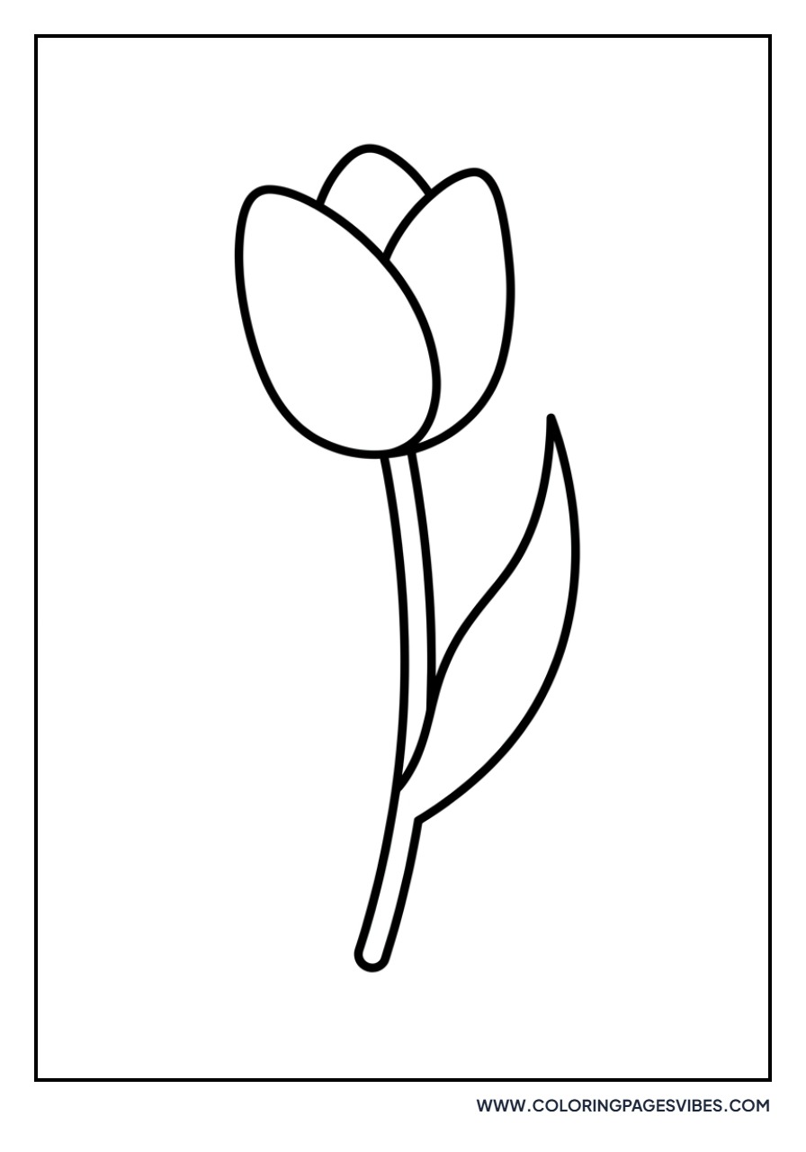 Single Simple Tulip