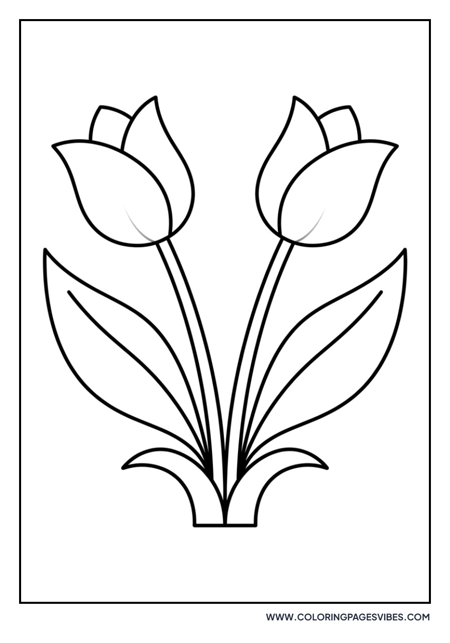 Symmetrical Tulip Design