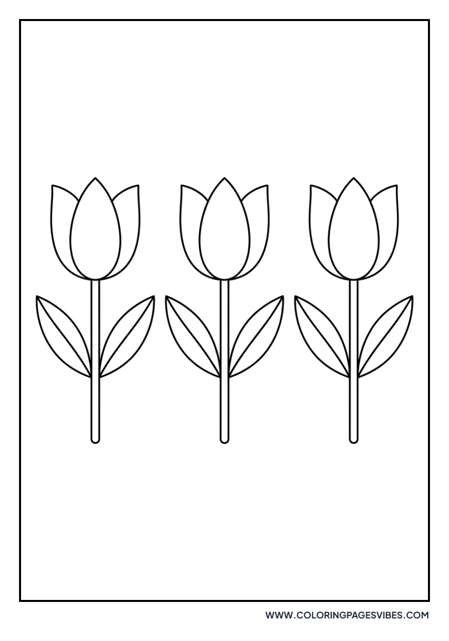 Three Tulips in a Row