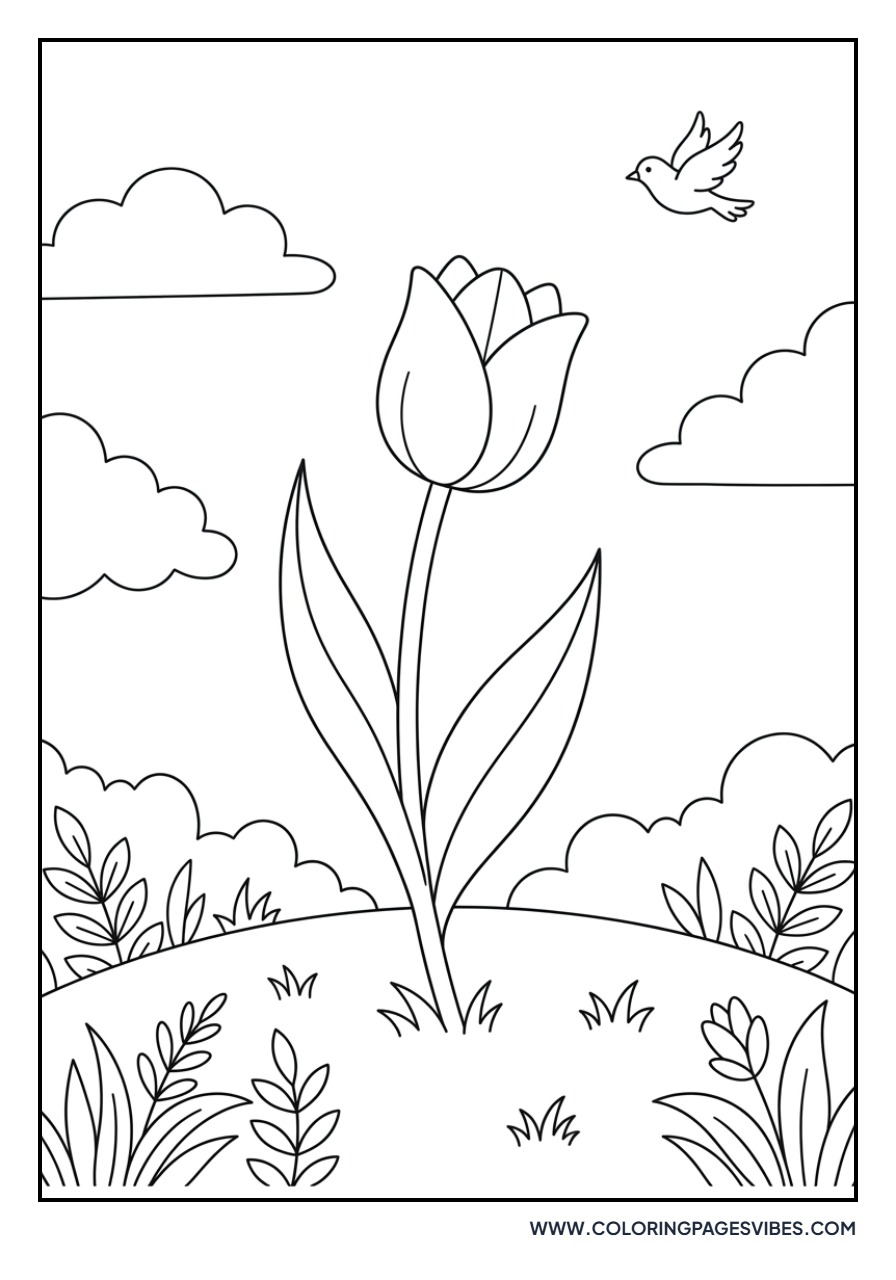 Tulip and Clouds