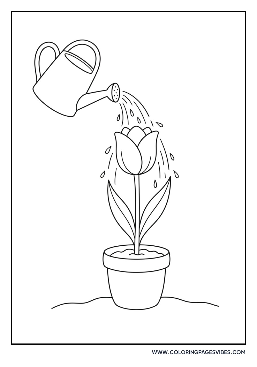 Tulip and Watering Can