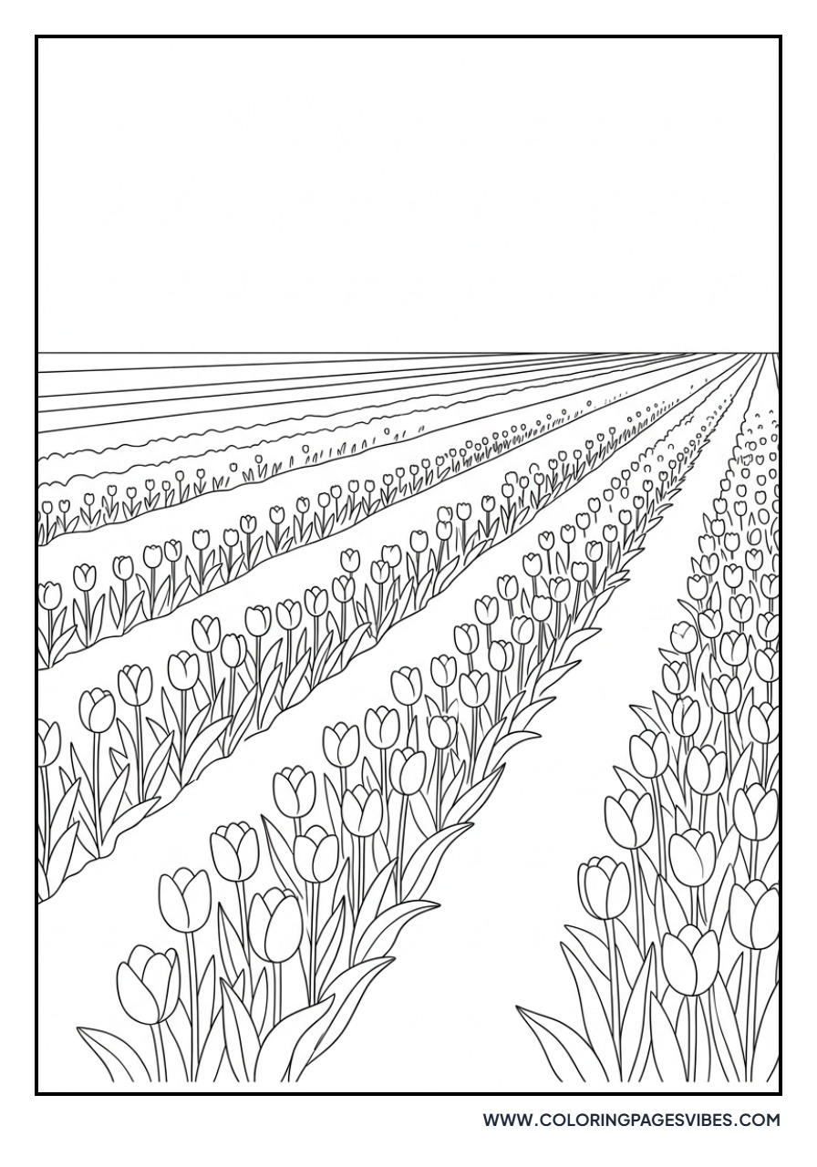 Tulip Field Landscape