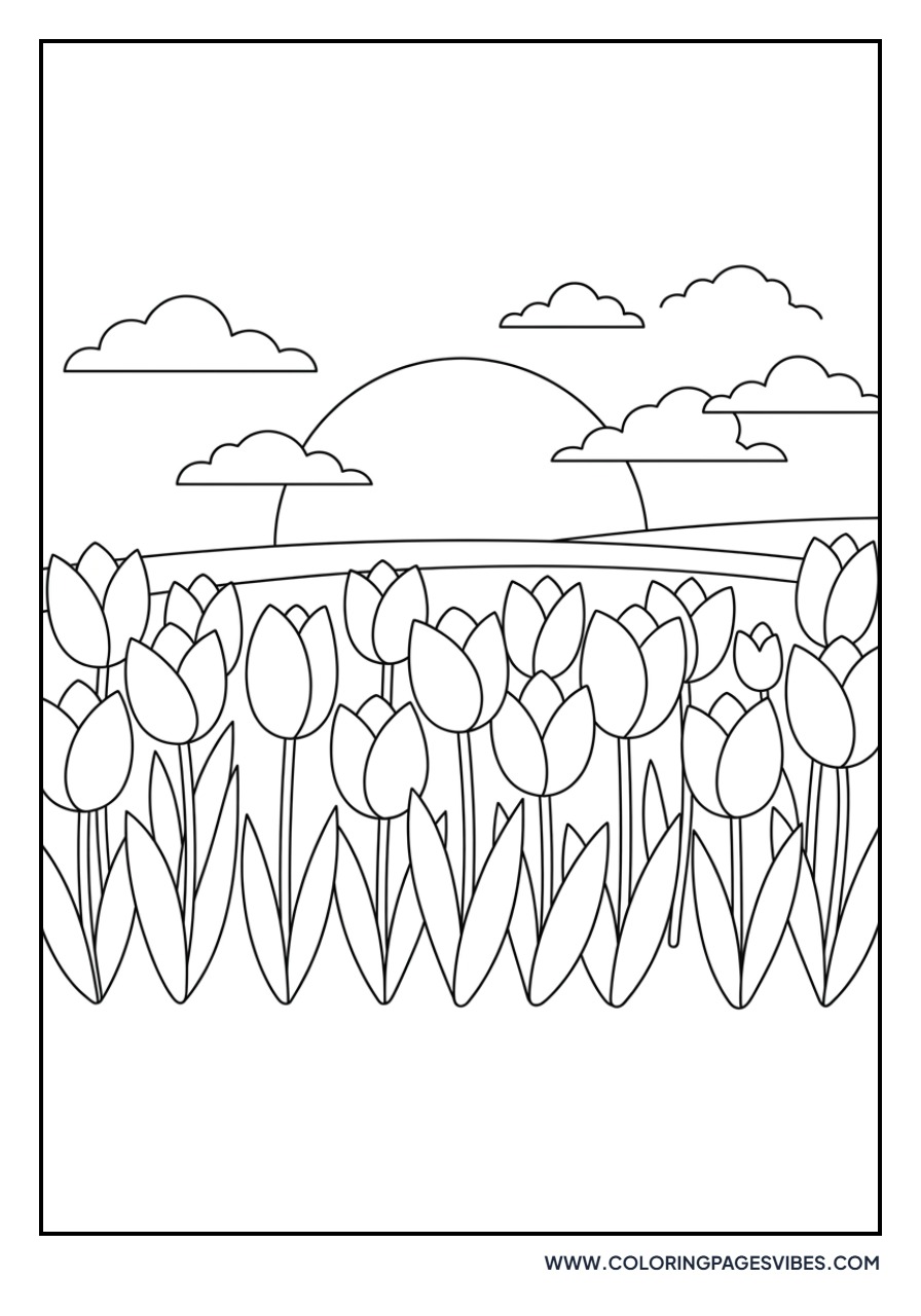 Tulip Garden at Sunset