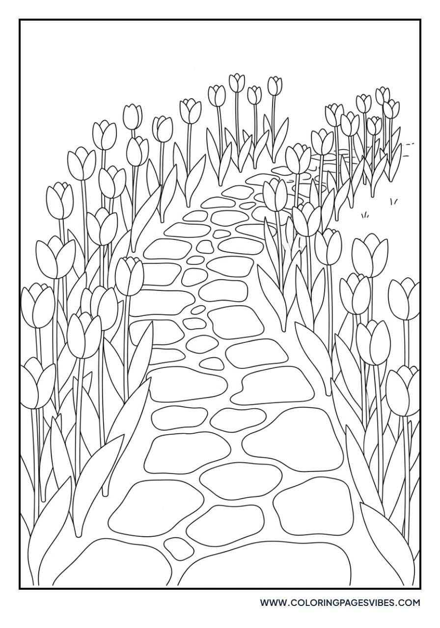 Tulip Garden Pathway