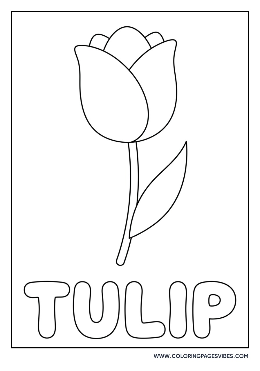 Tulip Outline with Name