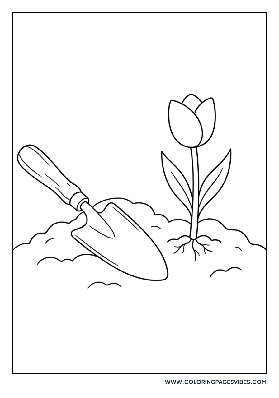 Tulips and Garden Trowel