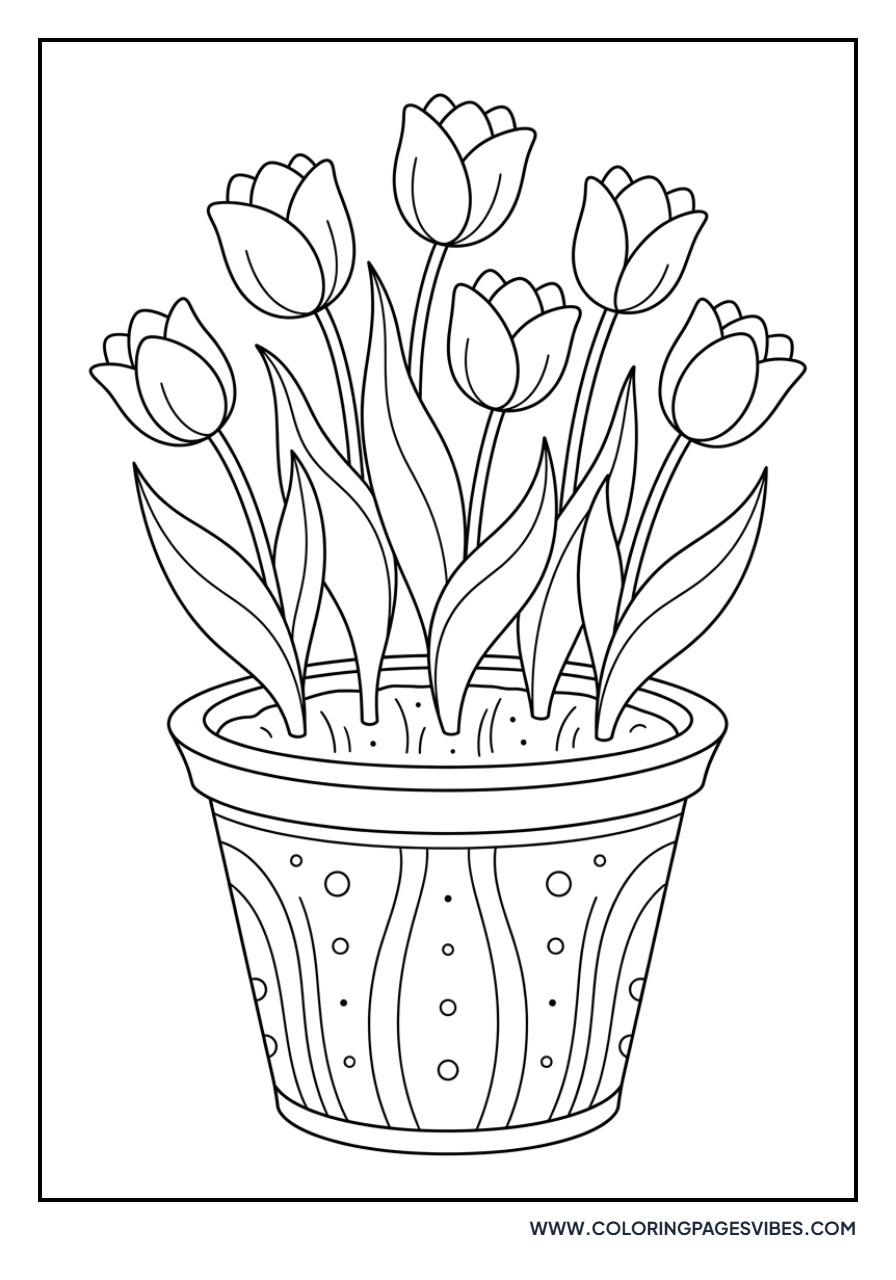 Tulips and Watering Pot