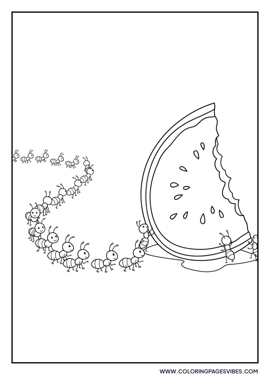Ants at a Watermelon Picnic