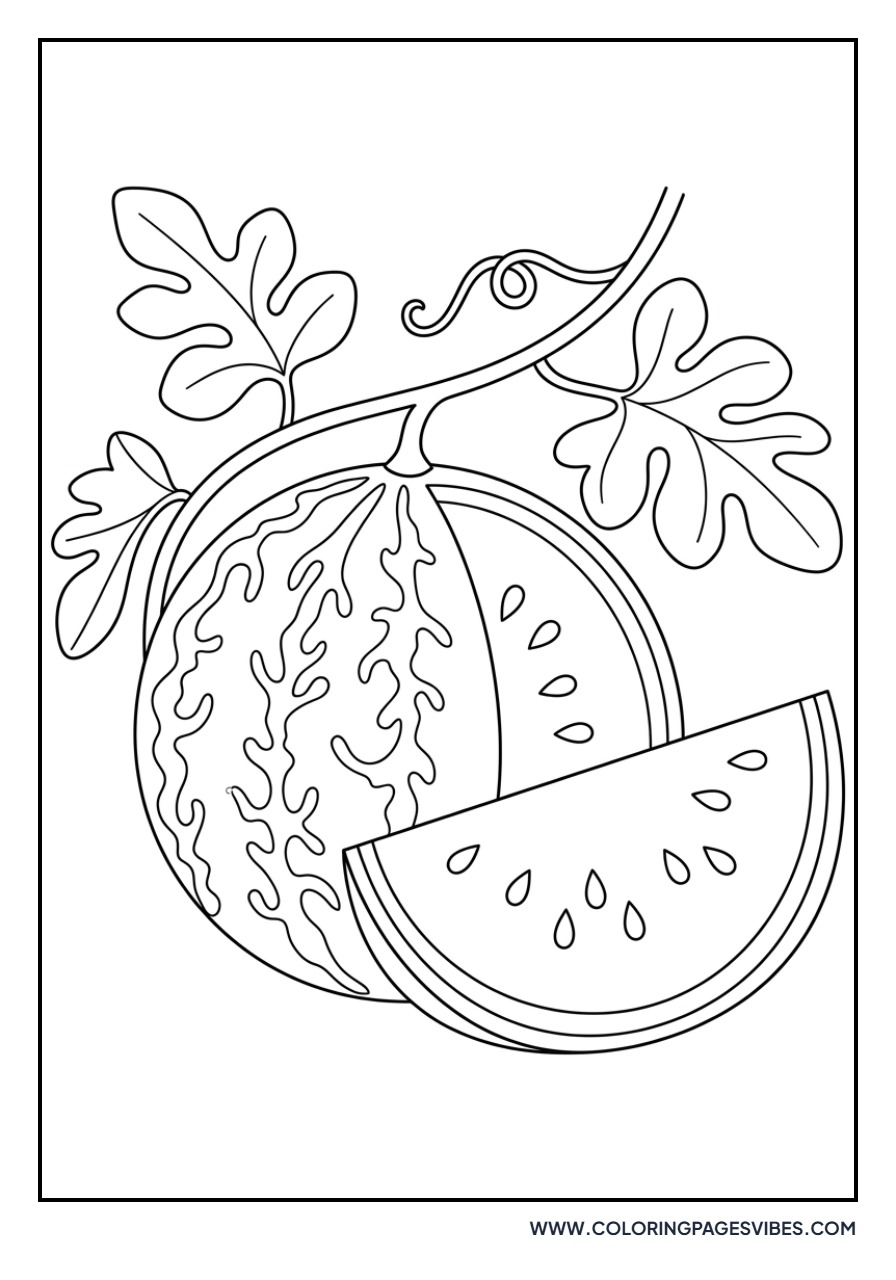 Detailed Botanical Watermelon