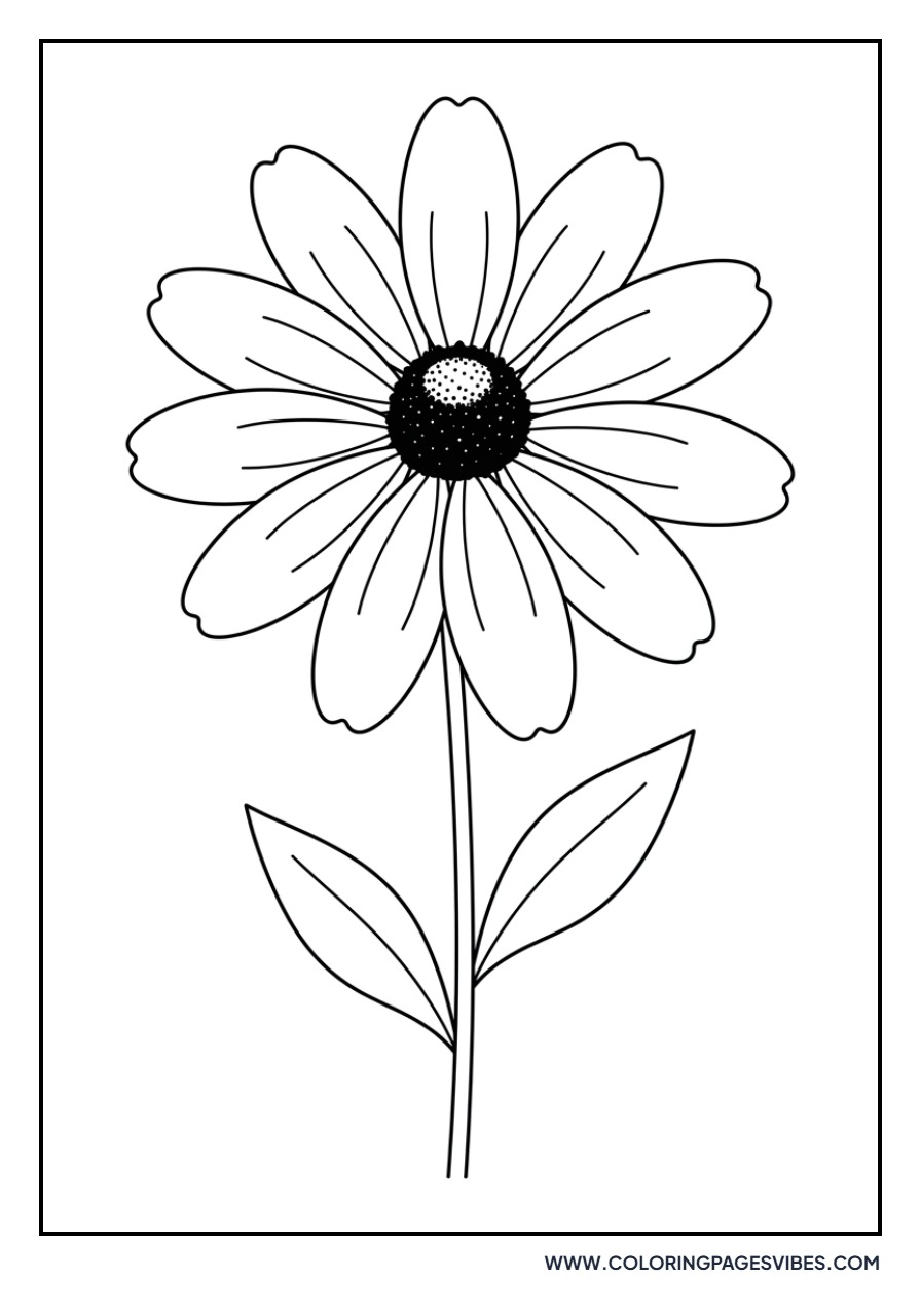 Black-Eyed Susan