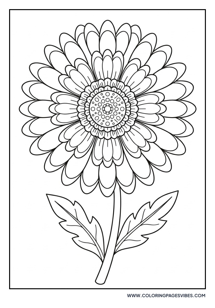 Blanket Flower (Gaillardia)