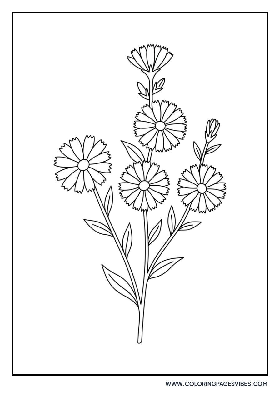 Chicory Flower