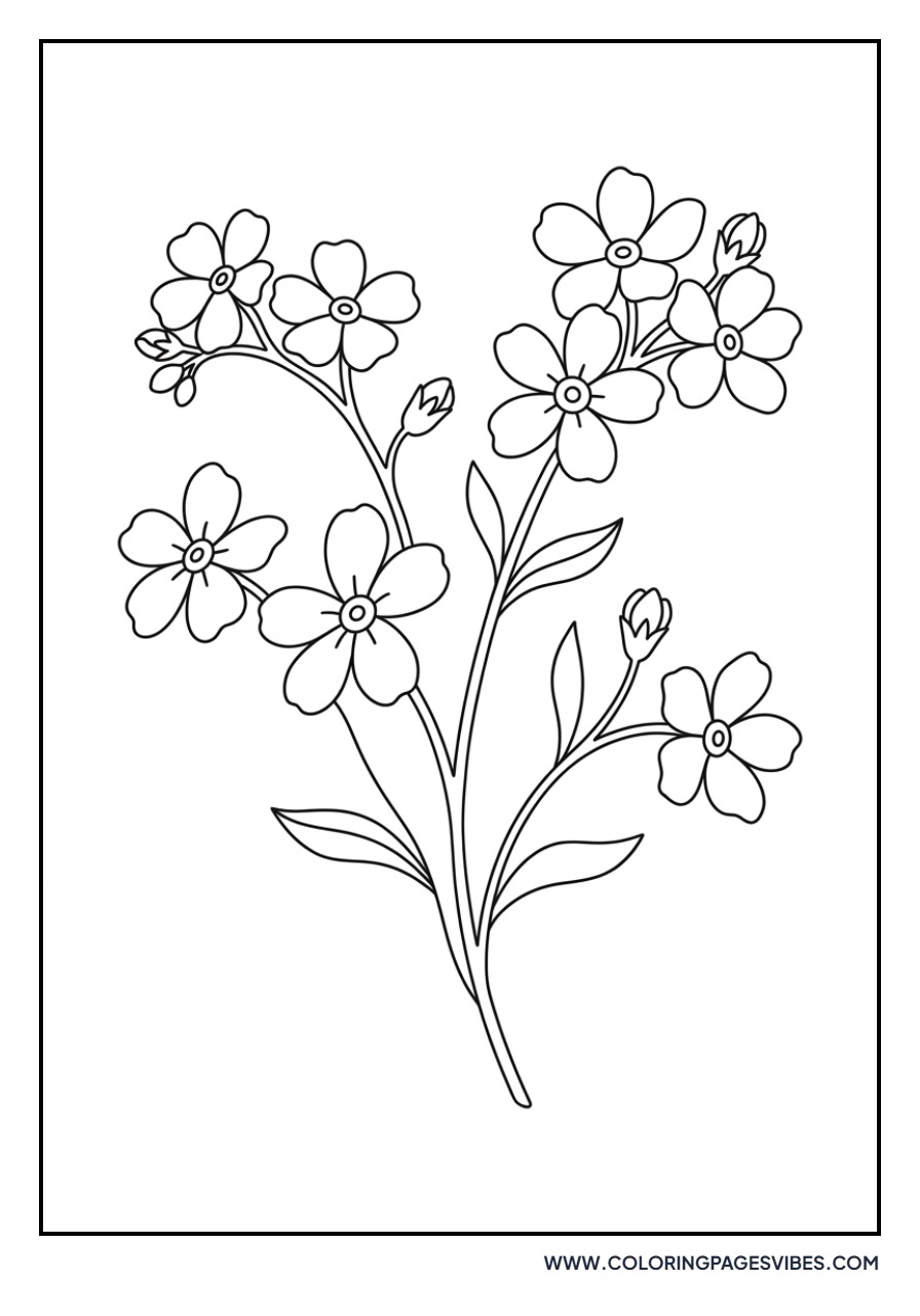 Forget-Me-Not Flowers