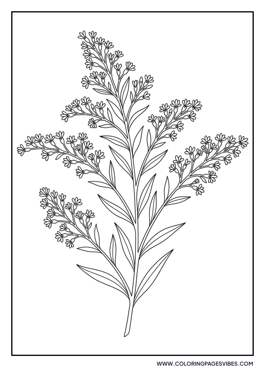 Goldenrod Stalks